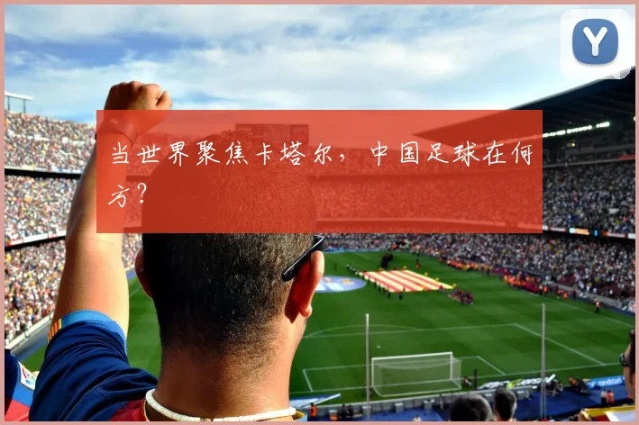 当世界聚焦卡塔尔，中国足球在何方？
