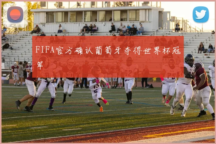 FIFA官方确认葡萄牙夺得世界杯冠军