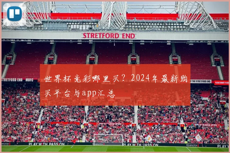 世界杯竞彩哪里买？2024年最新购买平台与app汇总