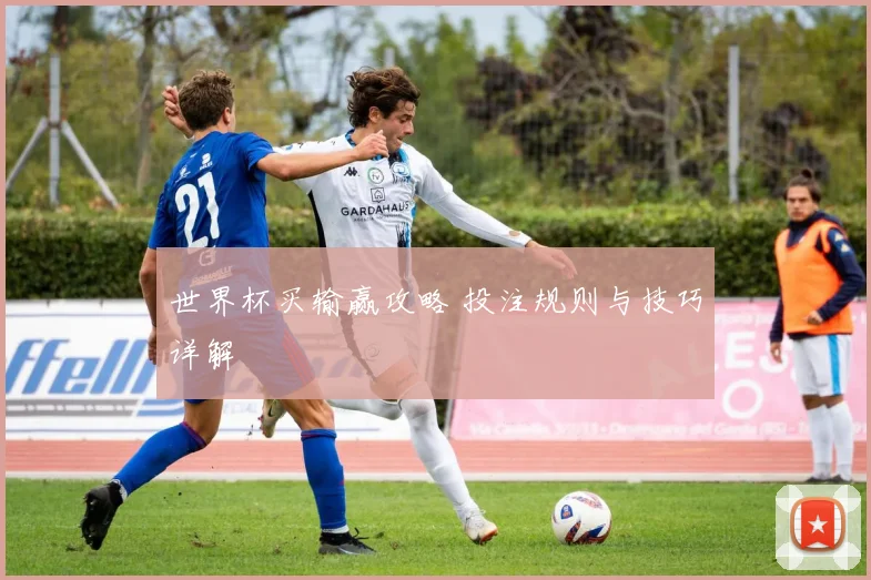 世界杯买输赢攻略 投注规则与技巧详解