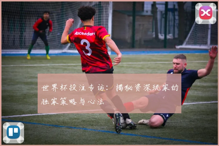 世界杯投注专访：揭秘资深玩家的独家策略与心法