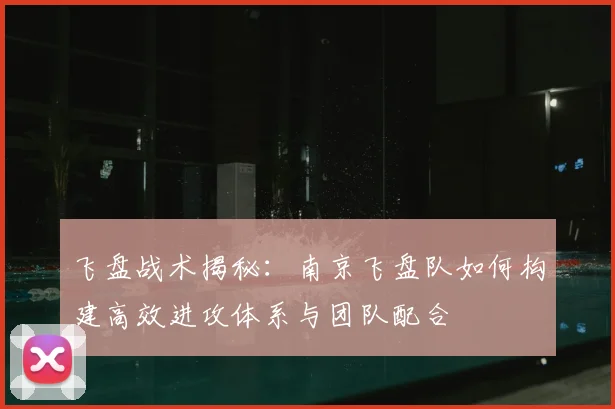 飞盘战术揭秘:南京飞盘队如何构建高效进攻体系与团队配合