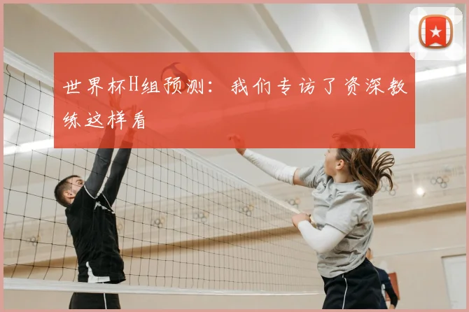 世界杯H组预测:我们专访了资深教练这样看