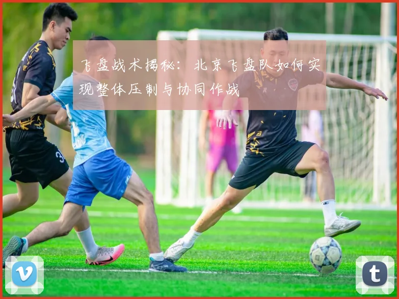 飞盘战术揭秘:北京飞盘队如何实现整体压制与协同作战