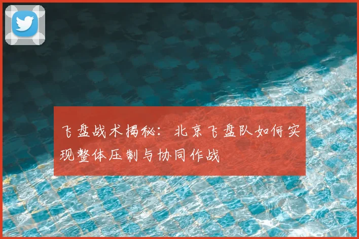 飞盘战术揭秘：北京飞盘队如何实现整体压制与协同作战