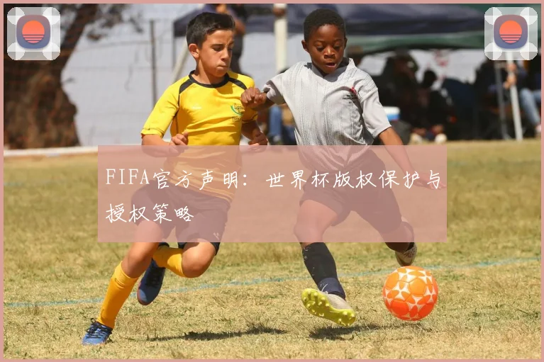 FIFA官方声明:世界杯版权保护与授权策略