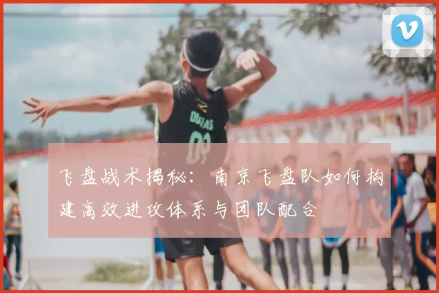飞盘战术揭秘:南京飞盘队如何构建高效进攻体系与团队配合