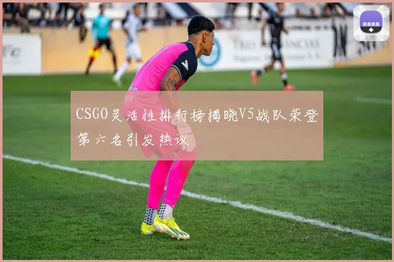 CSGO灵活性排行榜揭晓V5战队荣登第六名引发热议