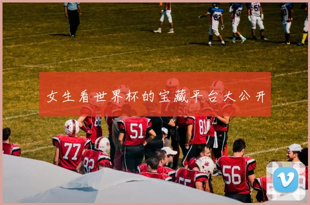 女生看世界杯的宝藏平台大公开