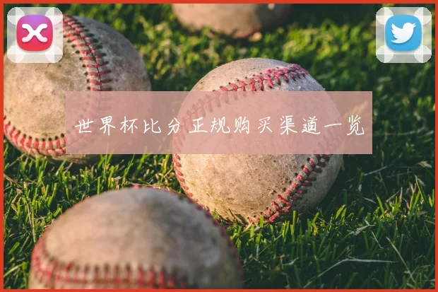 世界杯比分正规购买渠道一览