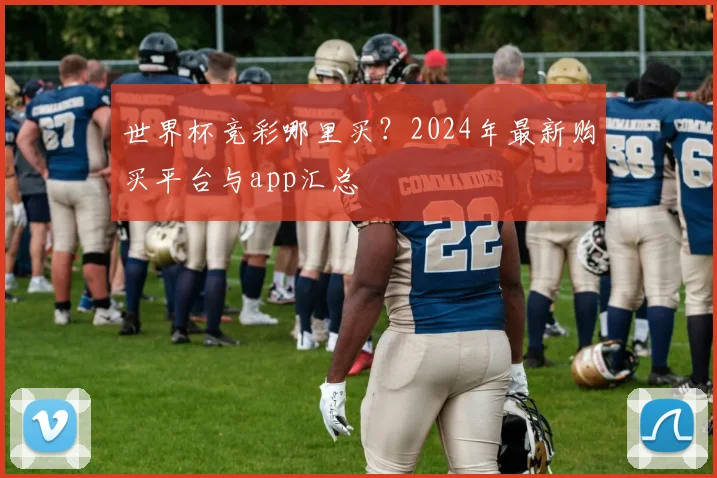 世界杯竞彩哪里买？2024年最新购买平台与app汇总